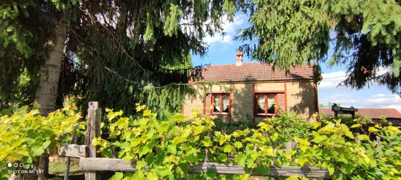 Ruralna Kuca Za Odmor Pozojova Hiza - Rural Holiday House Lopatinec Exteriér fotografie